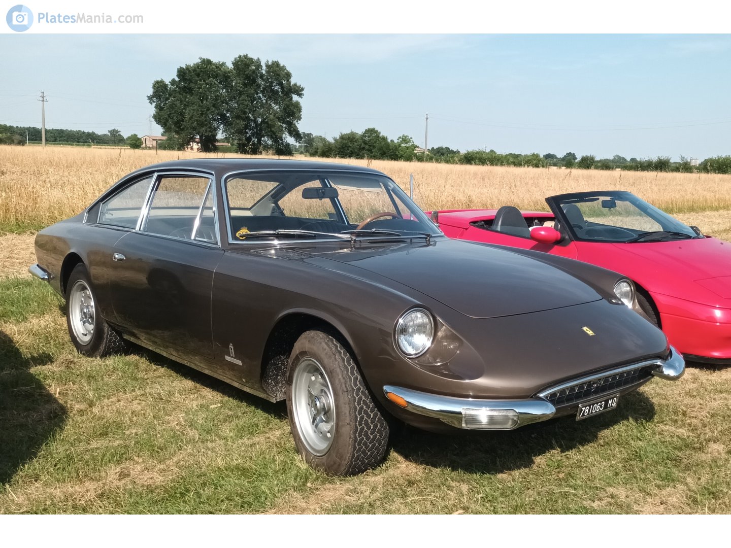 MO 781063, Ferrari 365 365 GT 2+2 (1967–1971)