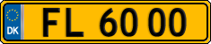 FL 6000