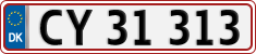 CY 31313