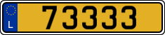 73333