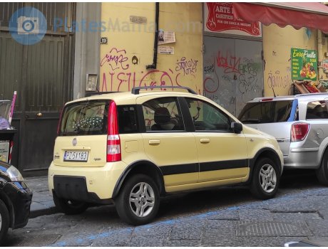 PZ 5X183, FIAT Panda