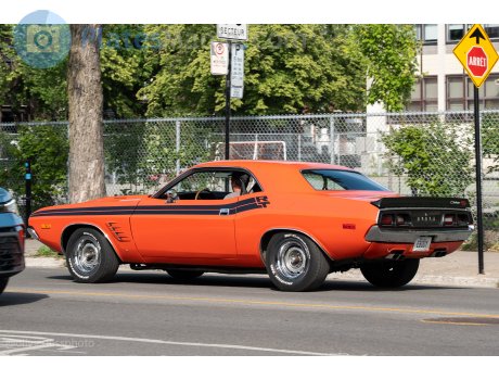 EBODY, Dodge Challenger