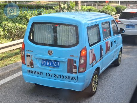 粤S·N176H, Weiwang 306