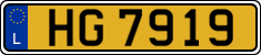 HG 7919