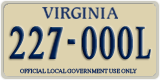 Virginia, Local Government (123-345L)