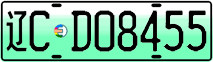 License plate of China, Electric vehicles