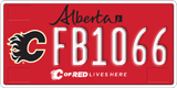 Alberta, Calgary Flames (FA1234)