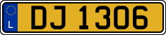 DJ 1306