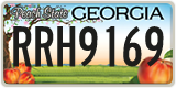 Georgia, ABC 1234