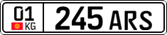 01 245 ARS
