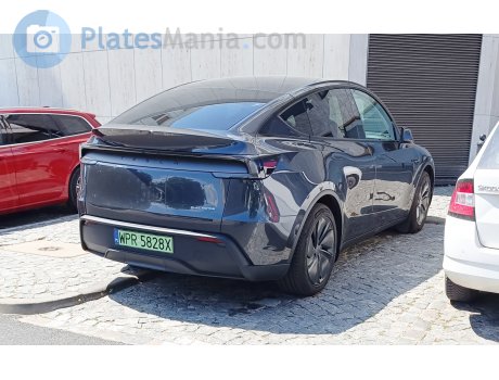 WPR 5828X, Tesla Model Y