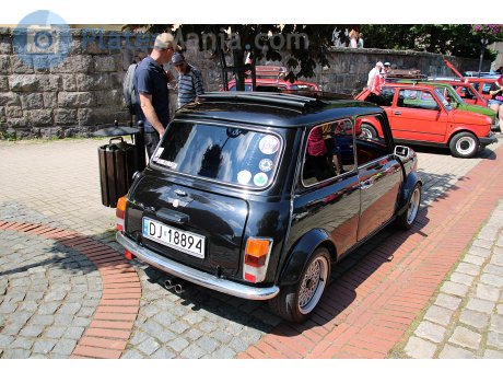 DJ 18894, Rover Mini