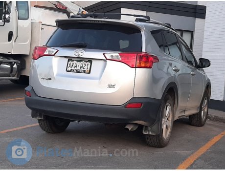 AKW-W21, Toyota RAV4
