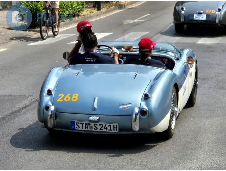 STA S 241H, Austin-Healey 100/3000