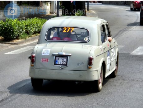 FIAT1100, FIAT 1100