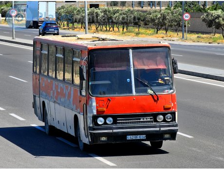 42 BF 614, Ikarus 250