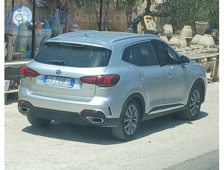 GS 799 FJ, MG HS