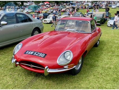VAM 529D, Jaguar E-Type