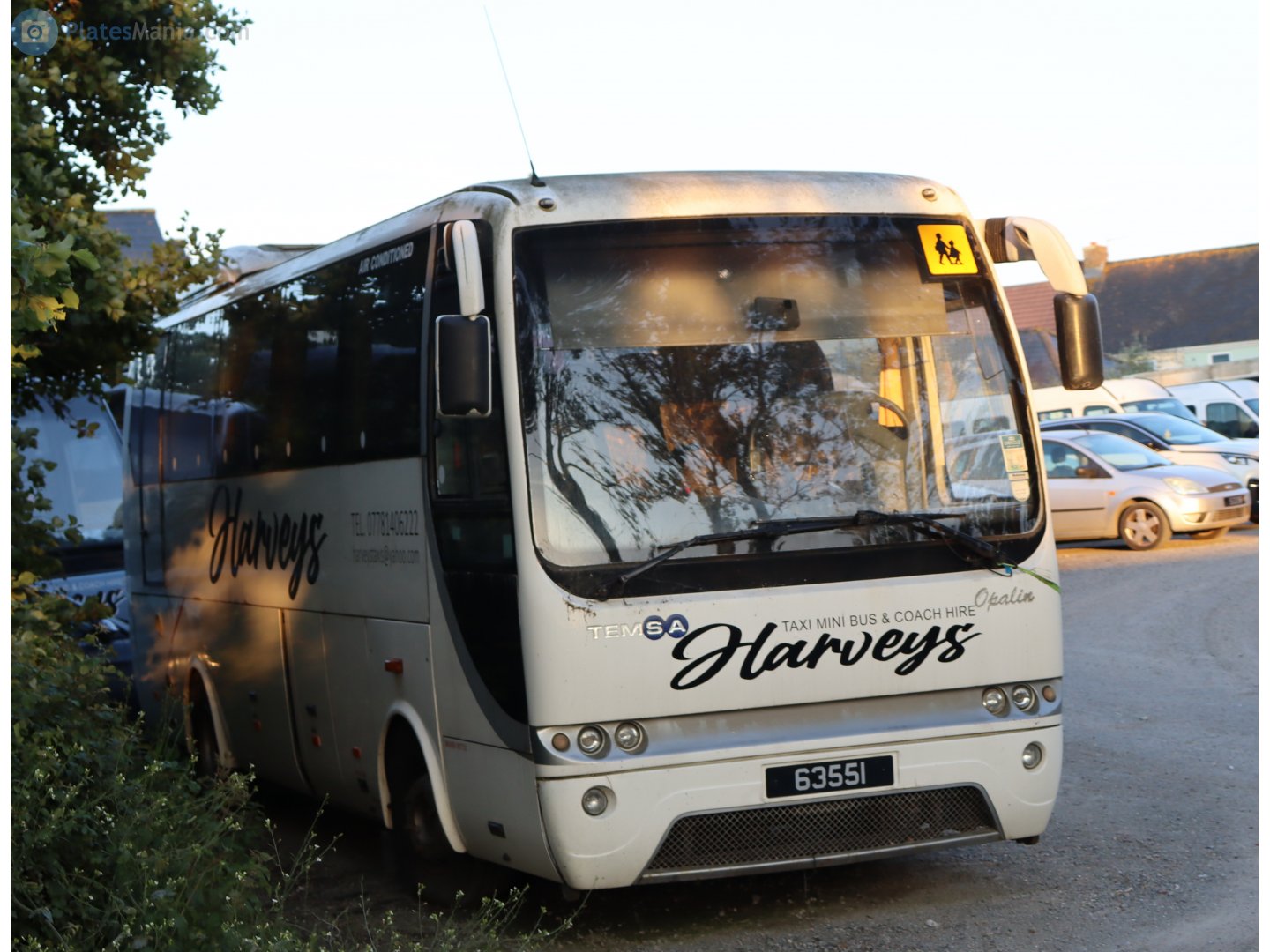 63551, TemSA Opalin 