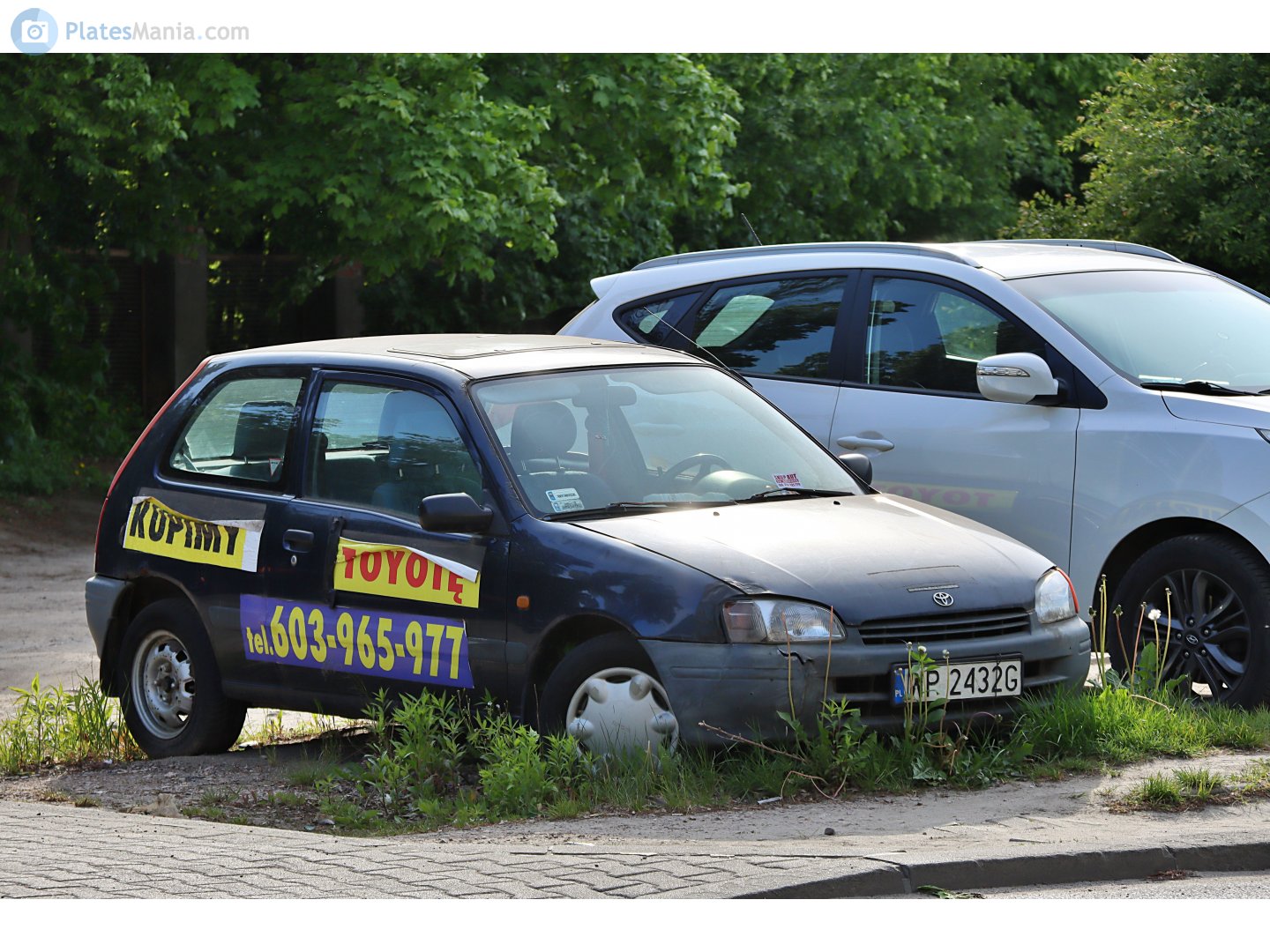 WP 2432G, License plate without vehicle 