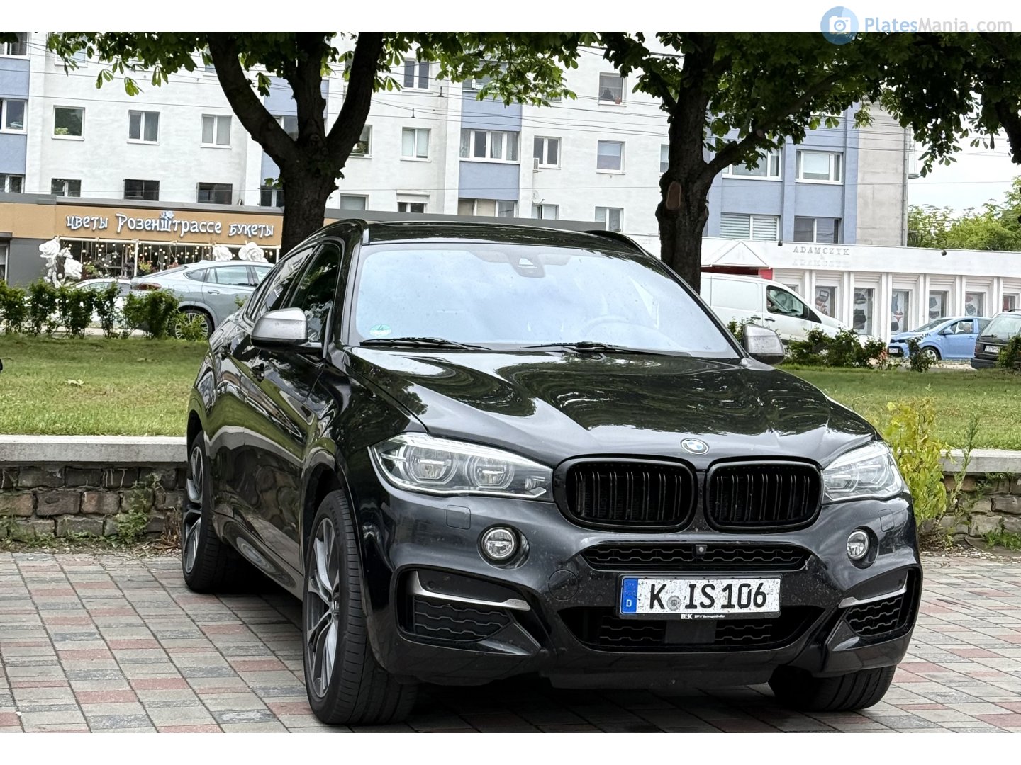 K IS 106, BMW X6 2nd gen (F16), 2014–2019