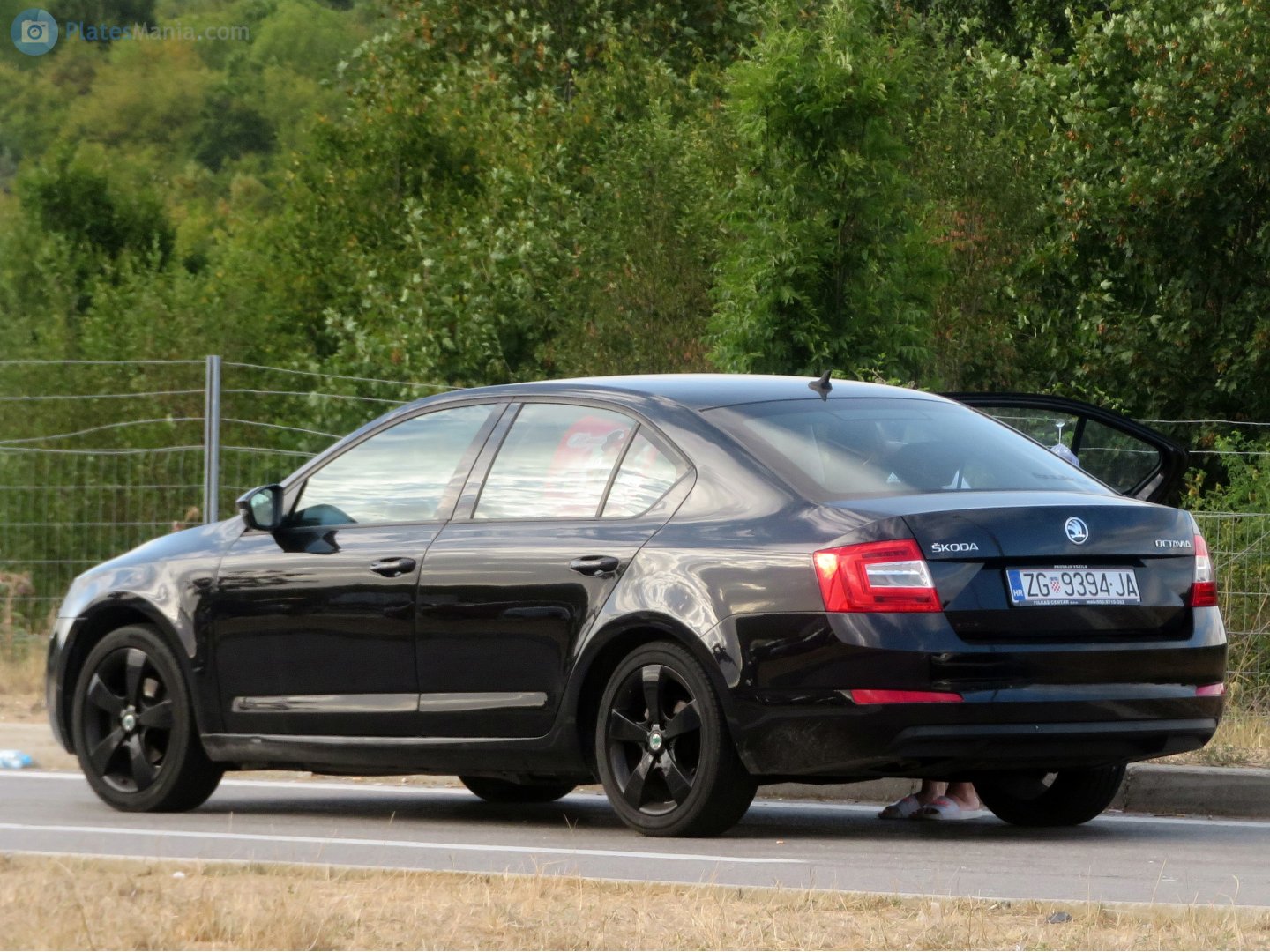 ZG 9394-JA, Skoda Octavia 3rd gen Liftback (A7/5E3), 2013–2017