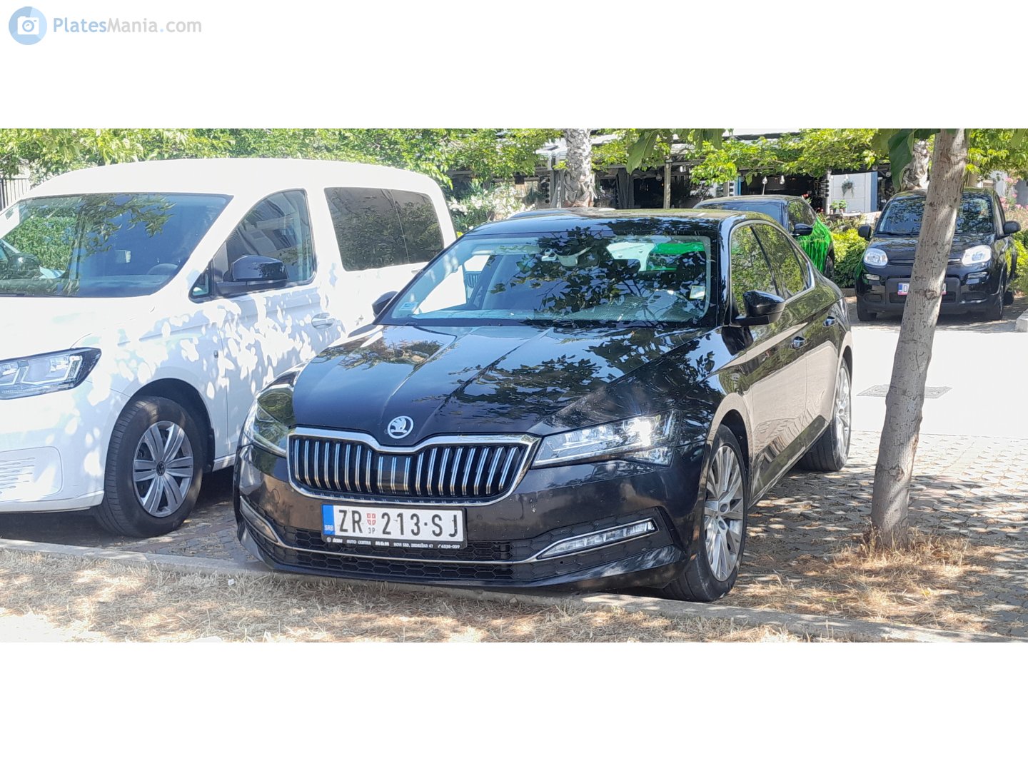 ZR 213-SJ, Skoda Octavia 4th gen Liftback (NX3), 2019–2024