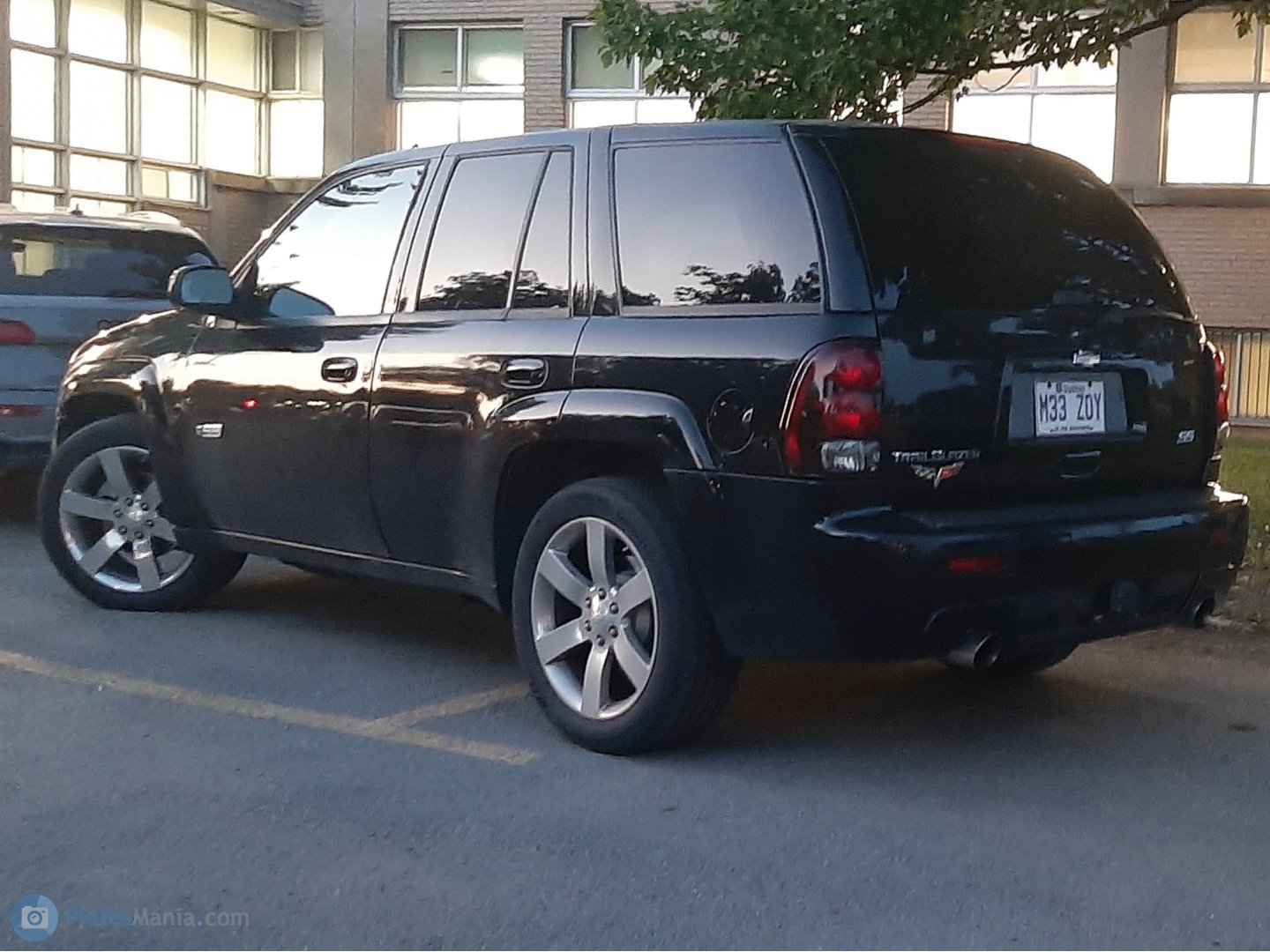 M33 ZDY, Chevrolet TrailBlazer 1st gen SUV (GMT360/GMT370), 2001–2008