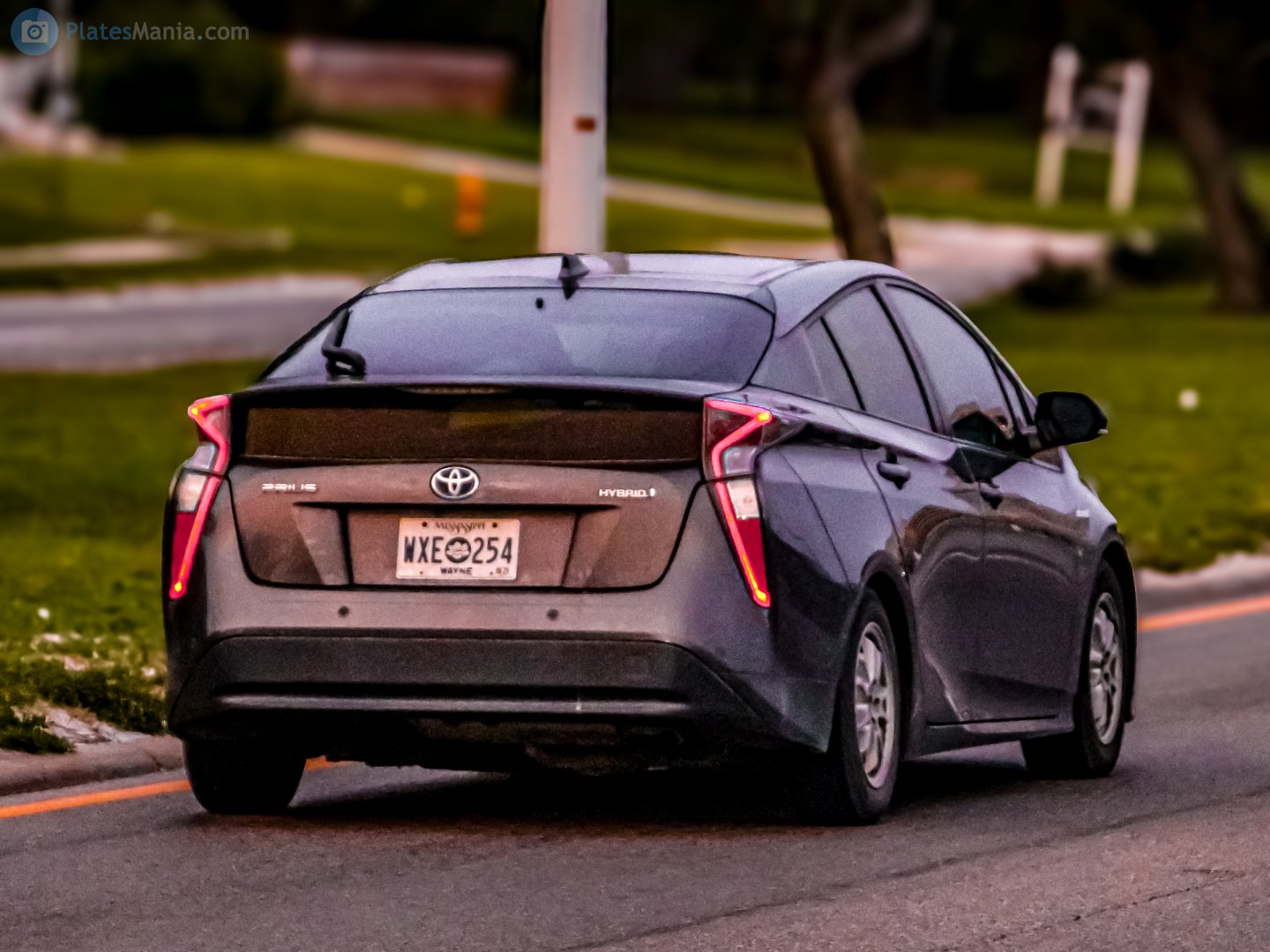 WXE 254, Toyota Prius 4th gen (ZVW50), 2015–2019