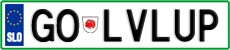License plate of Slovenia, Vanity Plates