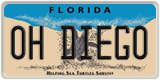 Florida, Vanity Plates