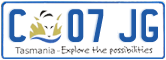 C 07 JG