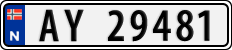 AY 29481
