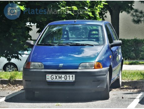 GXM-011, FIAT Punto