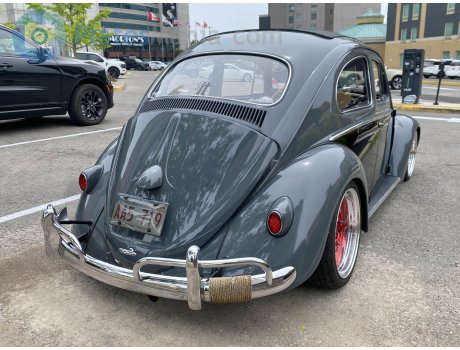 AA5 719, Volkswagen Beetle