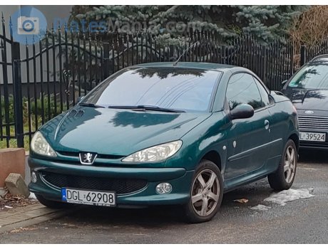 DGL 62908, Peugeot 206