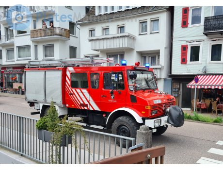 CW JY 11, Mercedes-Benz Unimog