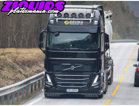 SE 11861, Volvo FH