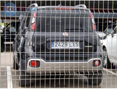 2429 LXS, FIAT Panda