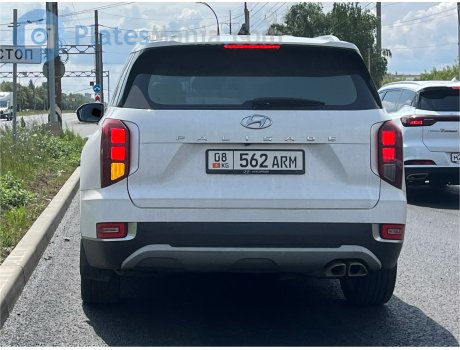 08 562 ARM, Hyundai Palisade