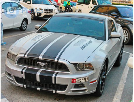 10 16991, Ford Mustang