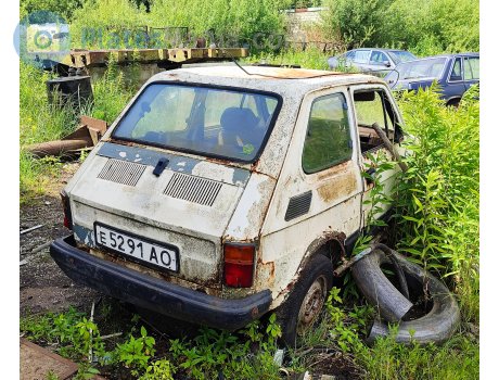 е 5291 АО, Polski Fiat 126p