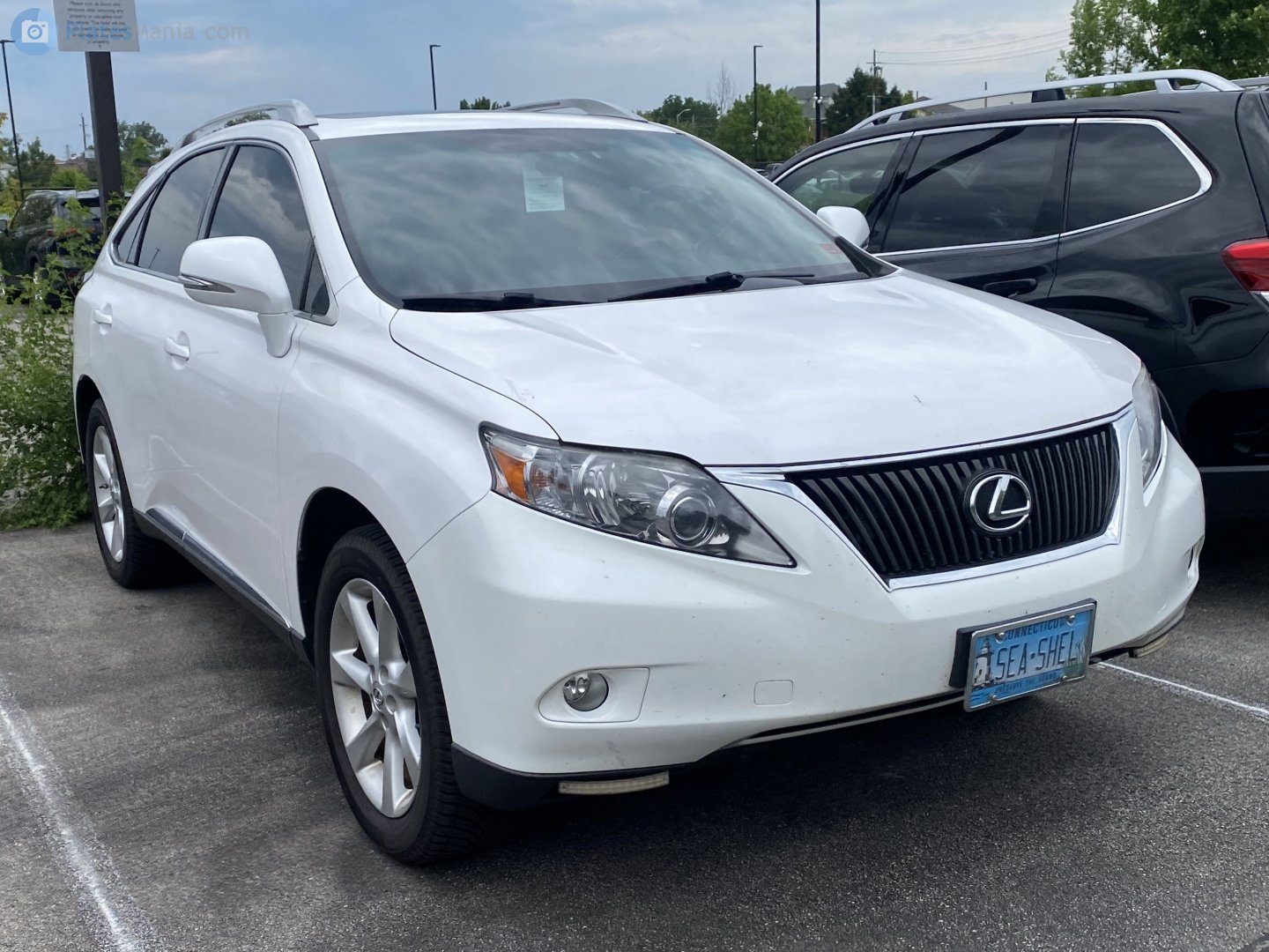 SEA-SHEL, Lexus RX 3rd gen (AL10), 2008–2012