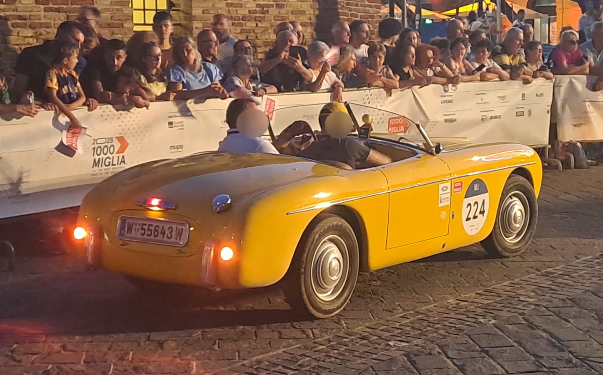 W 55643 W, Siata Daina 1st gen, 1950–1958