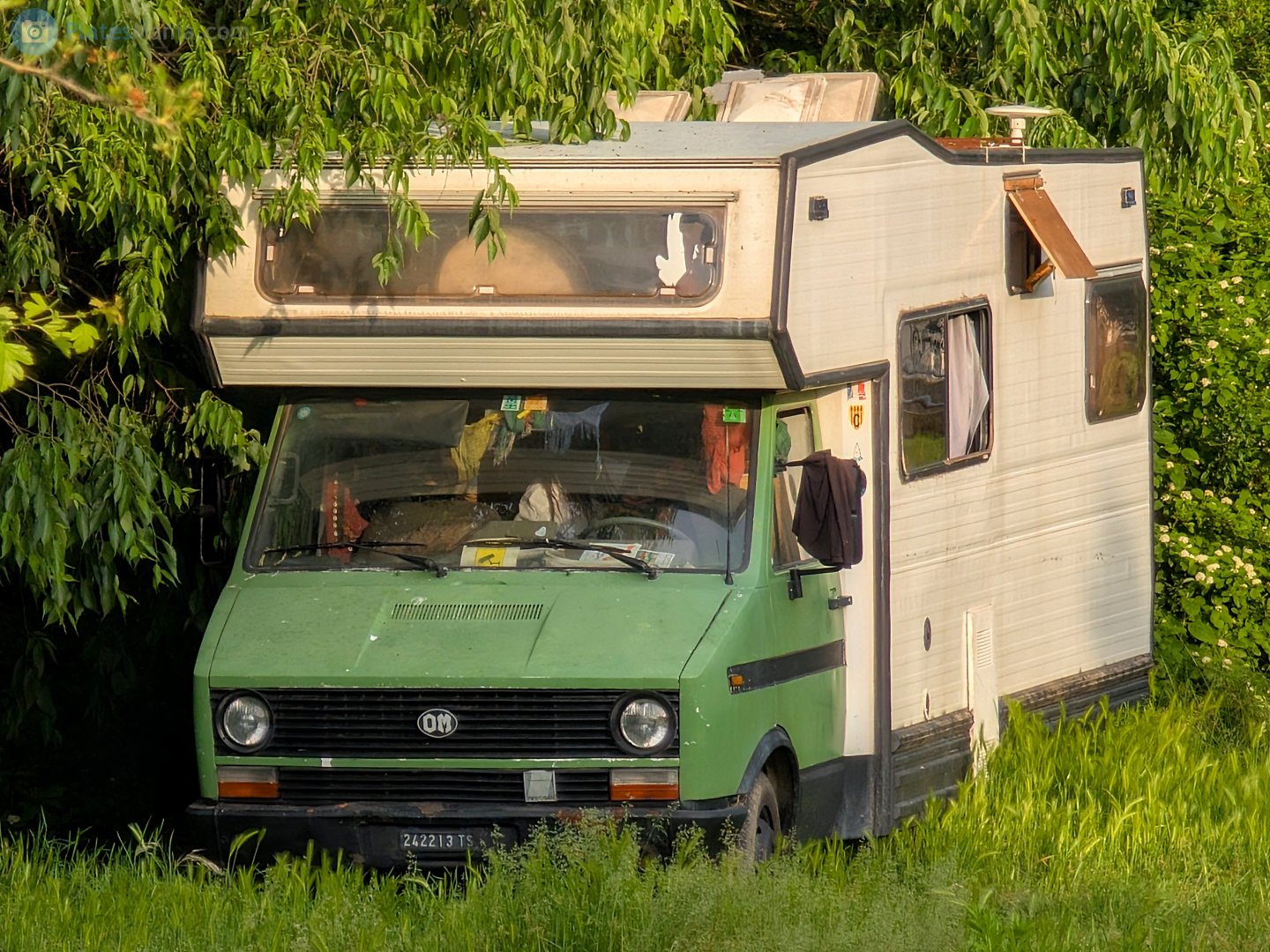 TS 242213, OM, Officine Meccaniche Grinta 
