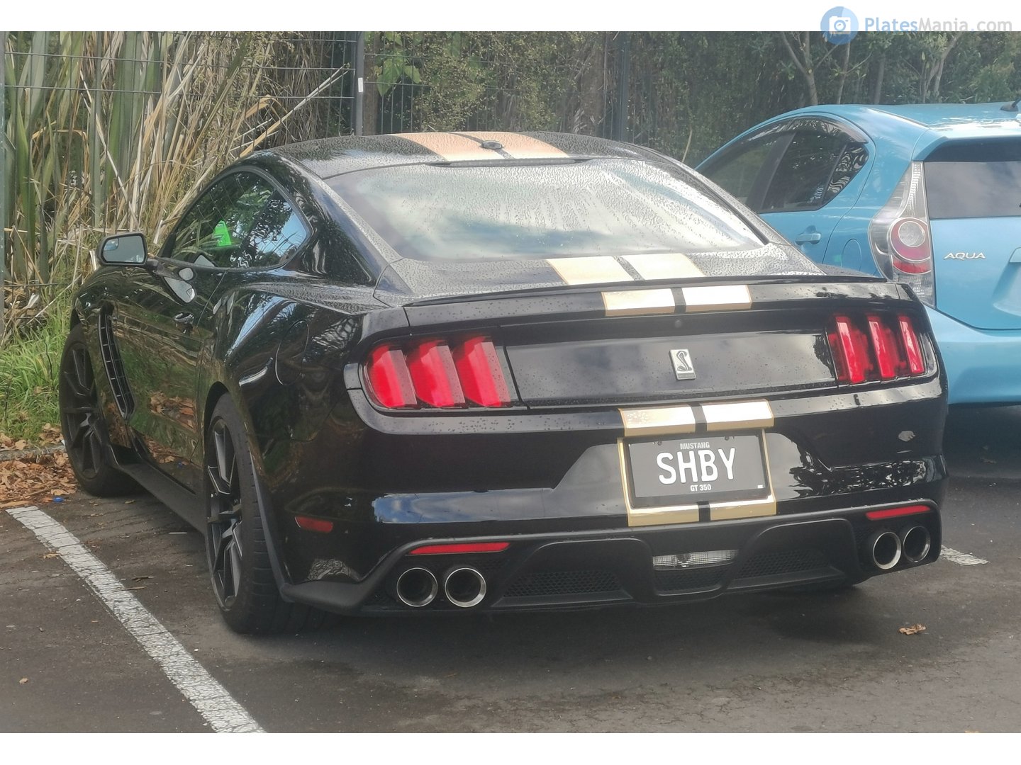 SHBY, Ford Mustang 6th gen Shelby 2-door Coupé (S550), 2014–2017