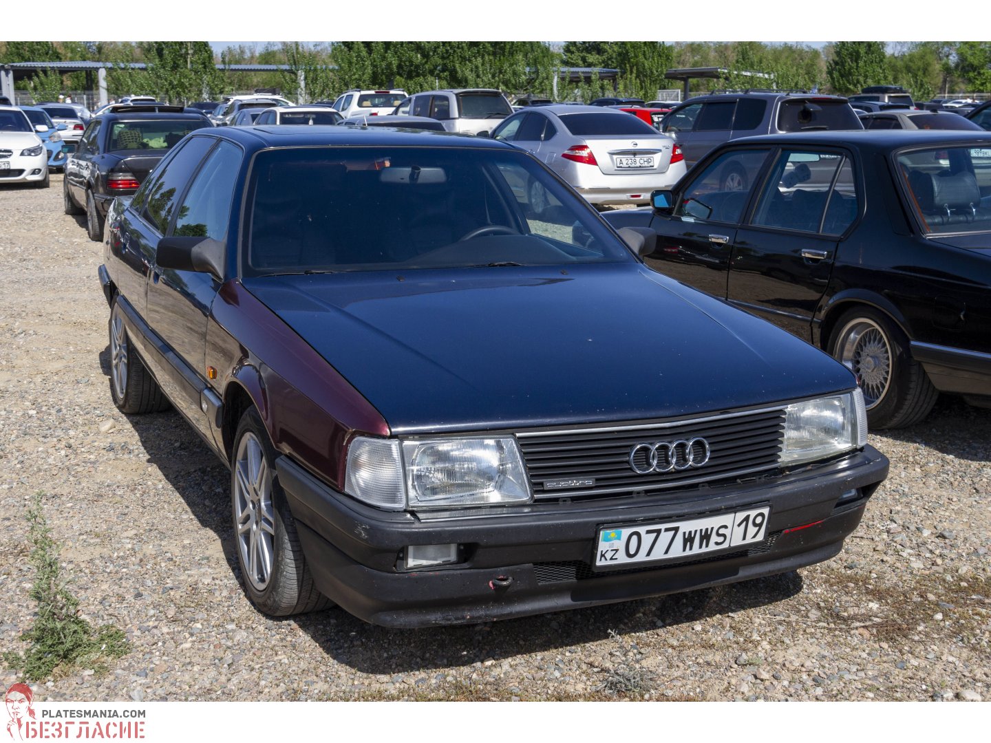 077 WWS 19, Audi 100 