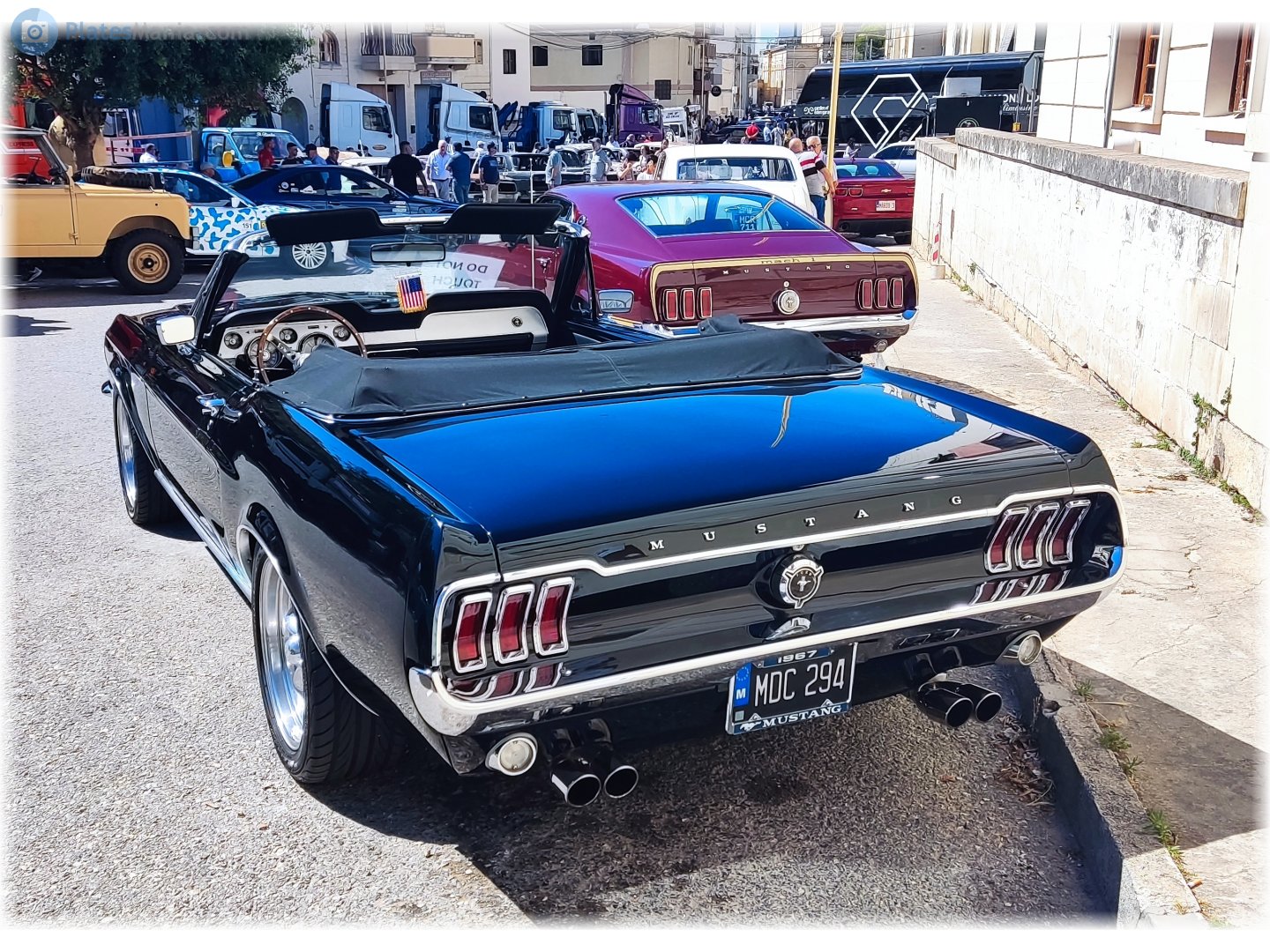 MDC 294, Ford Mustang 