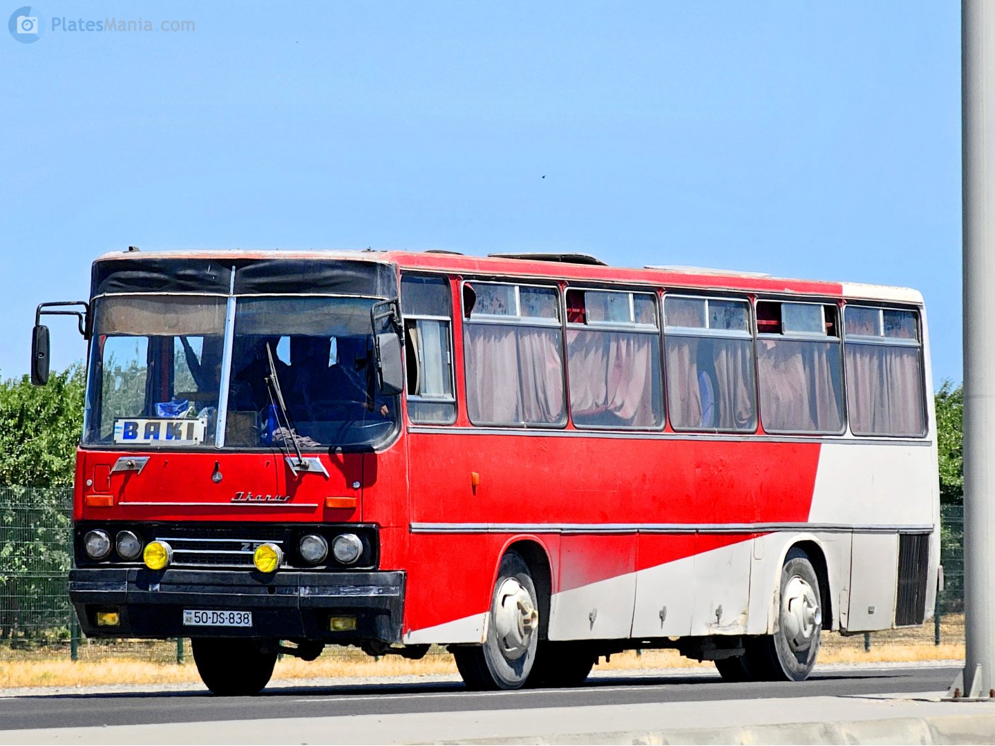50 DS 838, Ikarus 256 