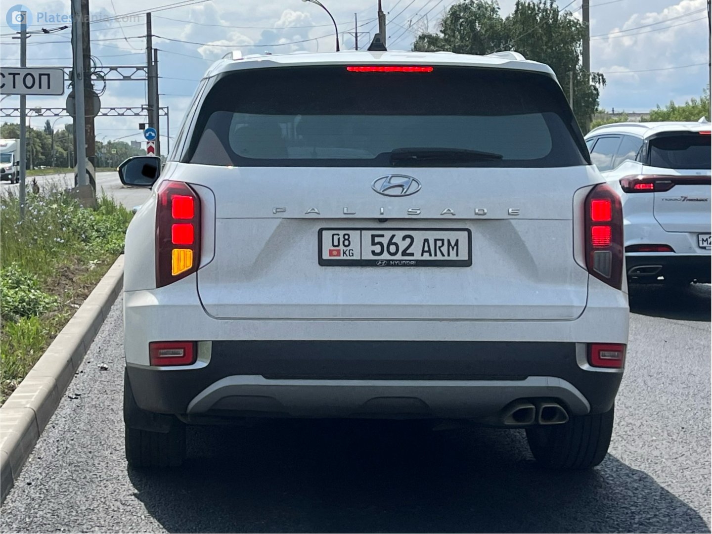 08 562 ARM, Hyundai Palisade 1st gen (LX2), 2019–2022